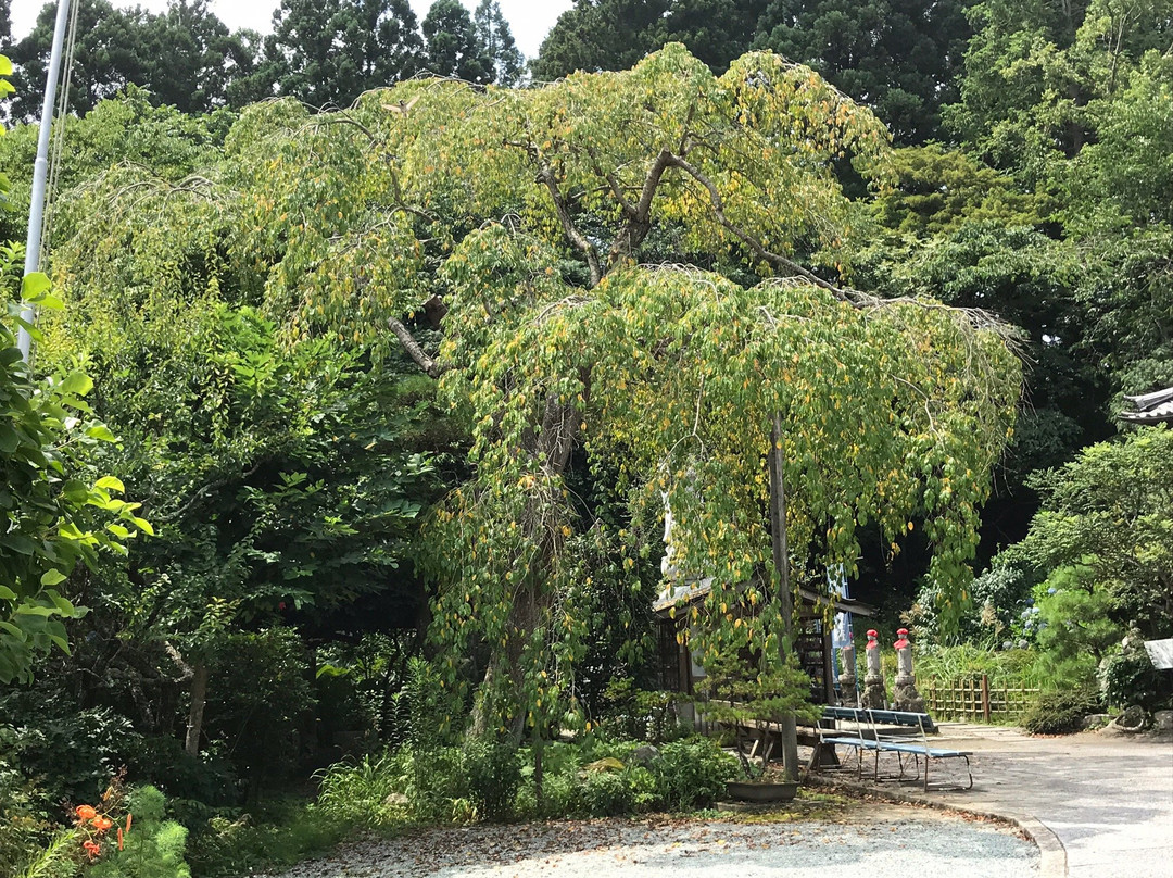 Tenrin-in-松岛町必去景点