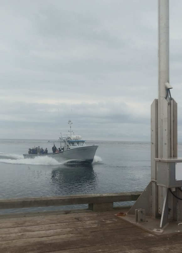 Bob's Deep Sea Fishing-North Rustico必去景点