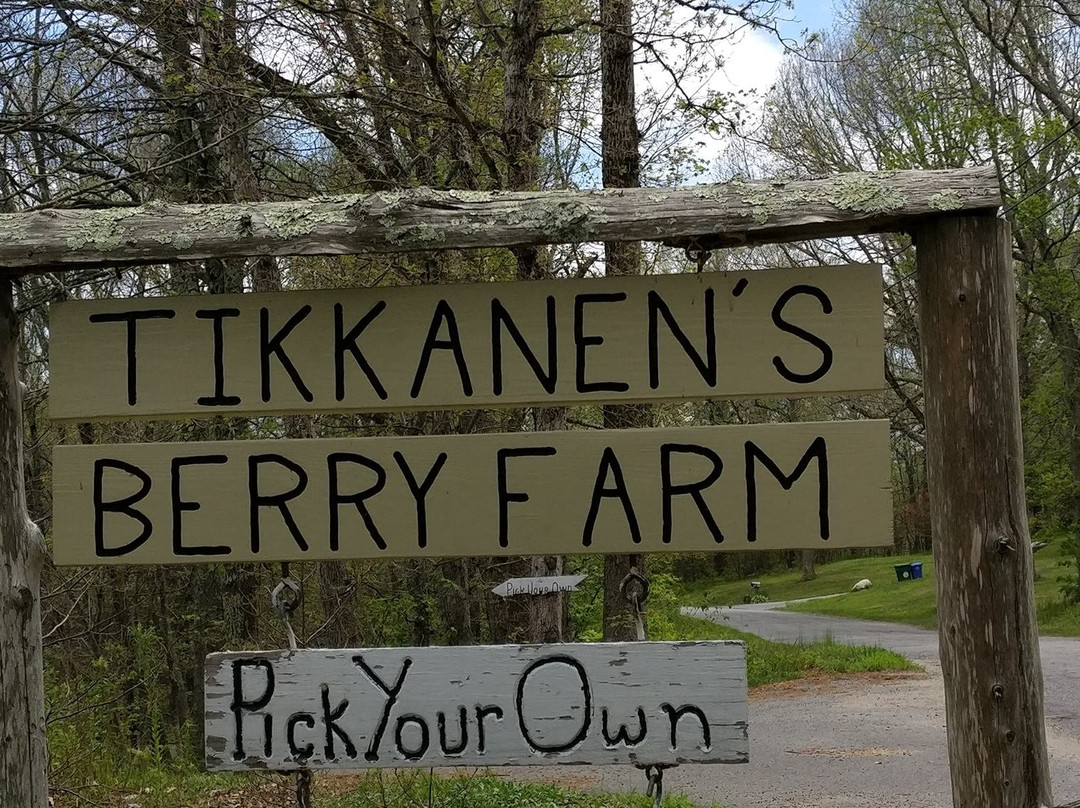 Tikkanen's Berry Farm-Sterling必去景点