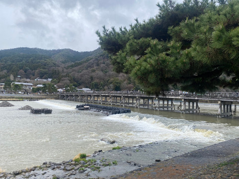 Kyoto Limousine-京都市必去景点
