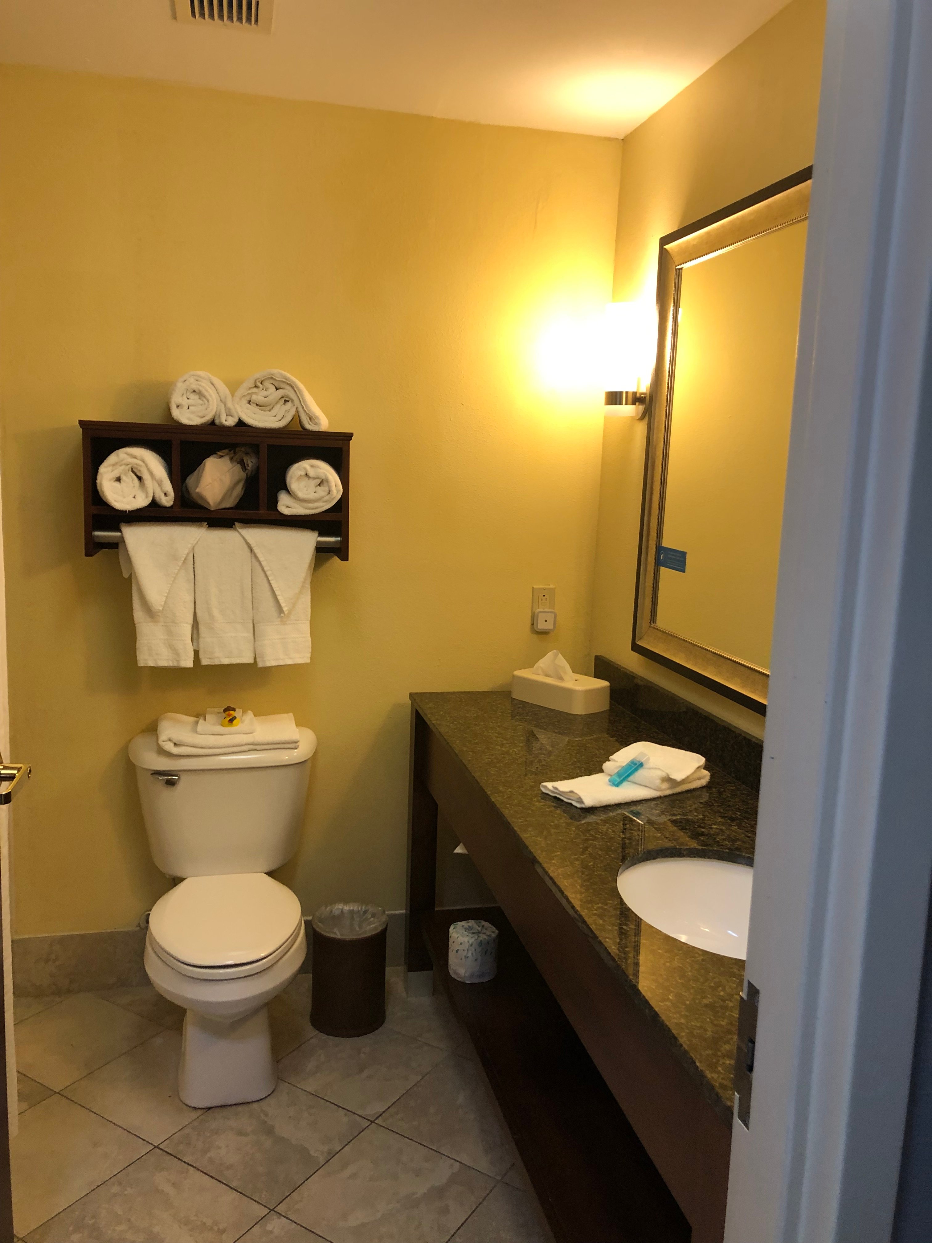 Hampton Inn Danville-浴室