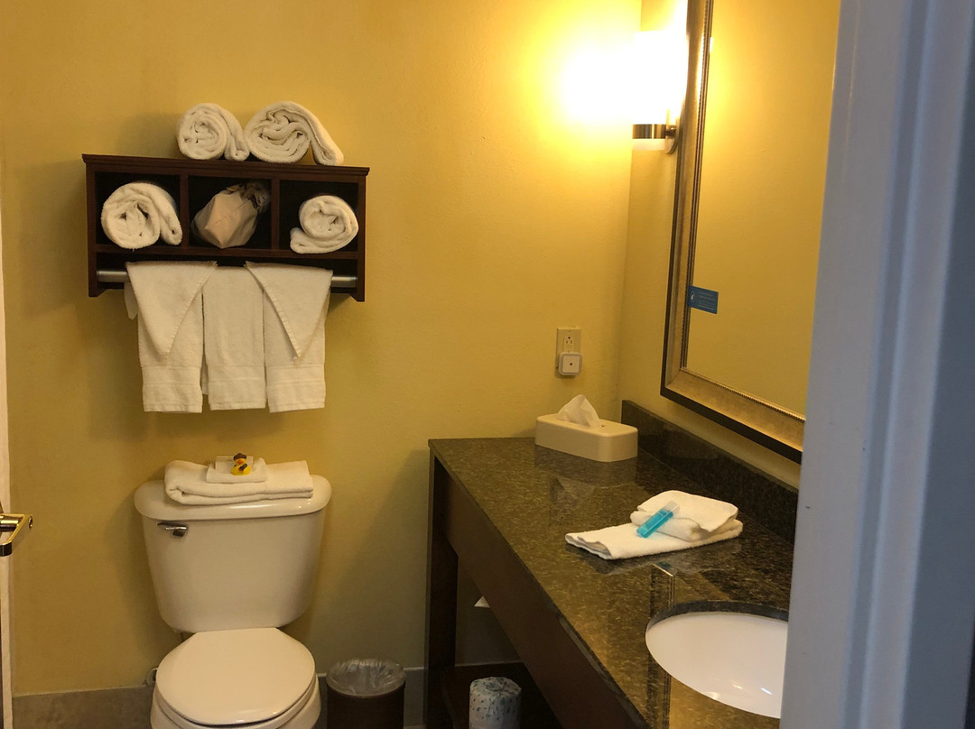 Hampton Inn Danville主图
