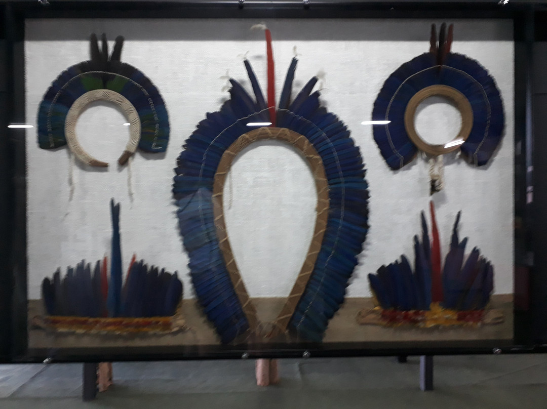 Cultural Centre of the Peoples of the Amazon-玛瑙斯必去景点