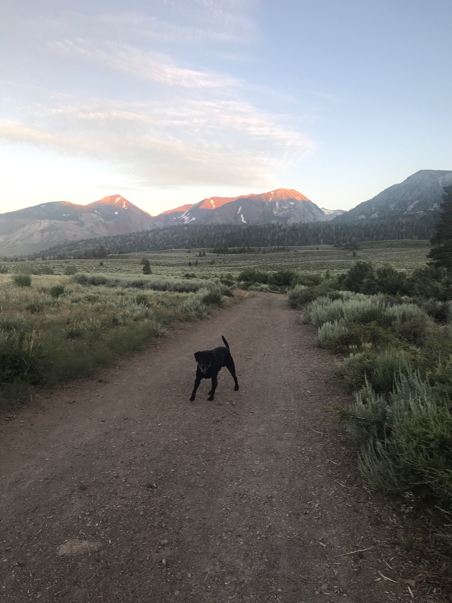 猛犸溪酒店-官方