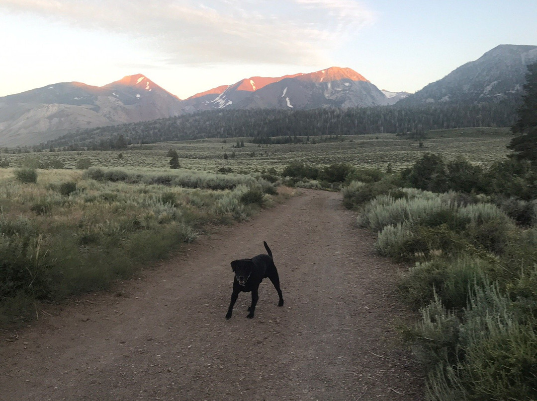 猛犸溪酒店主图