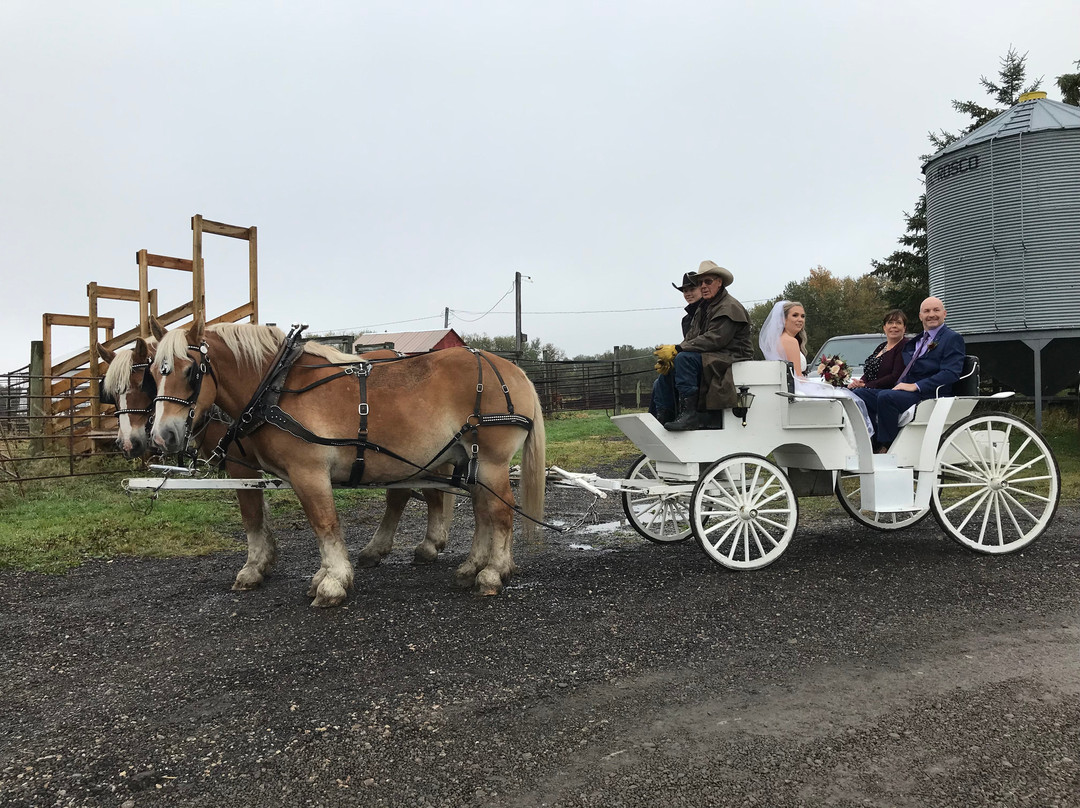Double Tree Village Museum-Spruce View必去景点