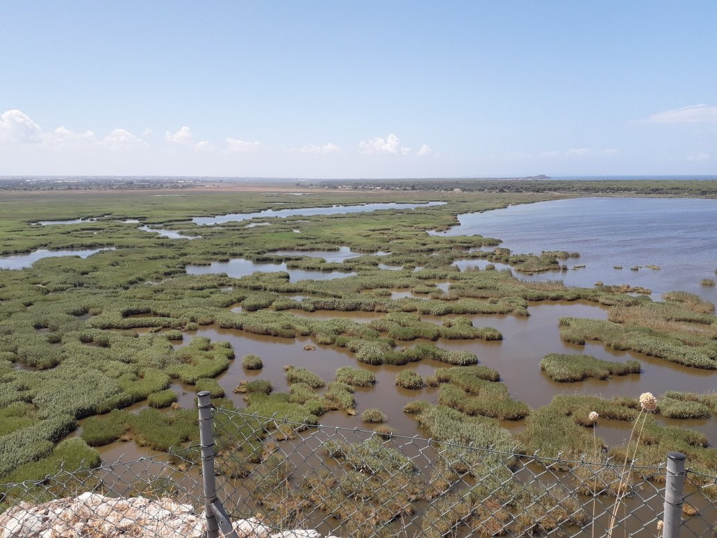 Dymaean Wall-Kalogria必去景点