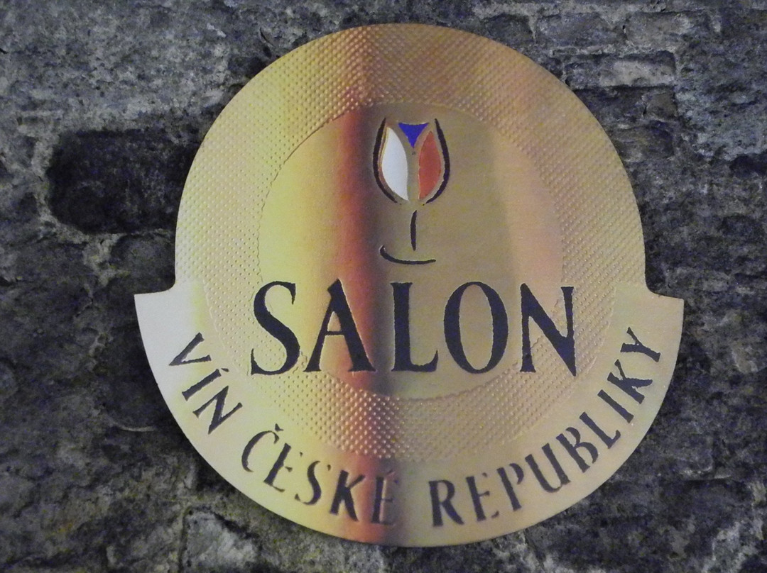 National Wine Salon (Národní salon vín)景点图片