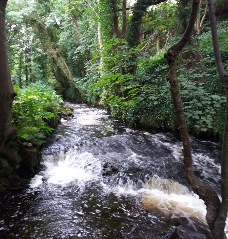 The Abbey Mill-Ballyshannon必去景点