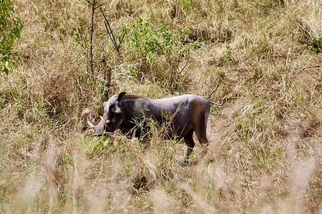 Africa Royal Trekking-纳特龙湖必去景点