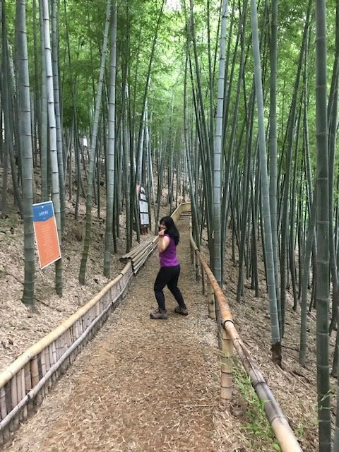 Maengjongjuk Theme Park-巨济市必去景点