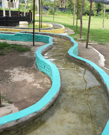 Aves World Broga-Semenyih必去景点