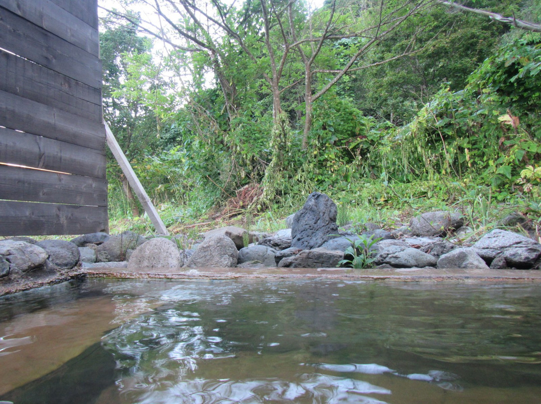 Miyauchi Onsen Ryokan主图