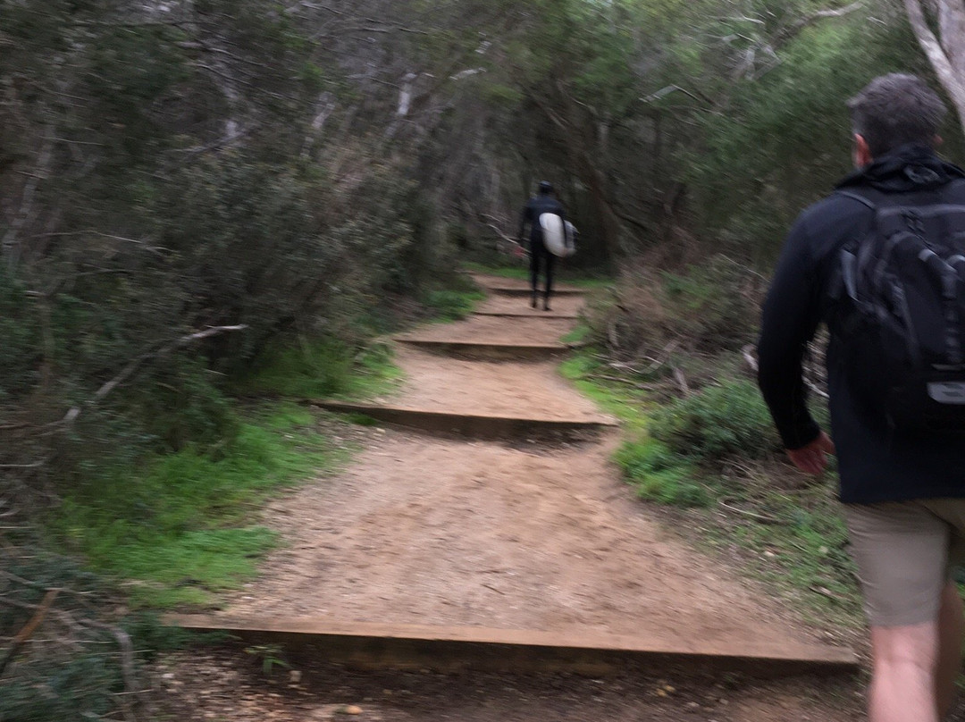 Sunnymeade Beach-Aireys Inlet必去景点