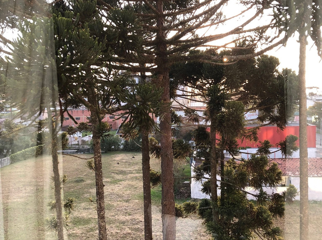 Rio Hotel by Bourbon Curitiba | Aeroporto主图