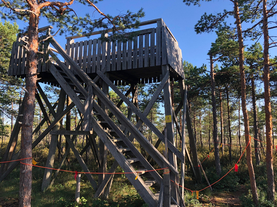 Puurijarvi-Isosuo National Park-Huittinen必去景点