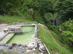 Mori no Fukuro主图