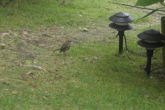 Landgoed Kraneven-Ommel必去景点