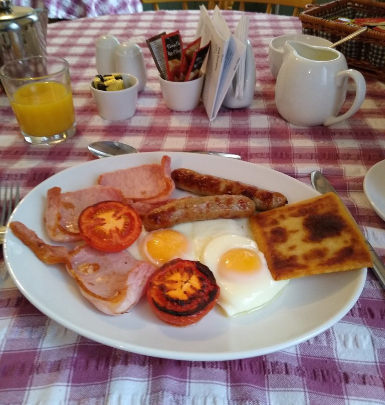 Scotia Bed and Breakfast主图