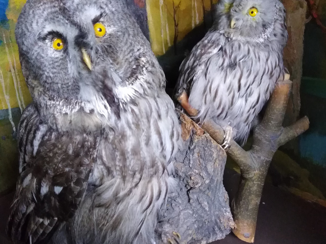 Severouralsk Local Lore Museum-Severouralsk必去景点