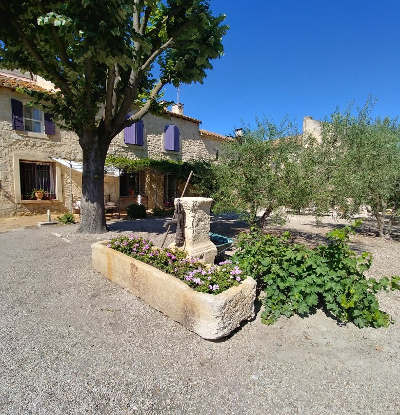 Domaine Sainte-Cécile主图