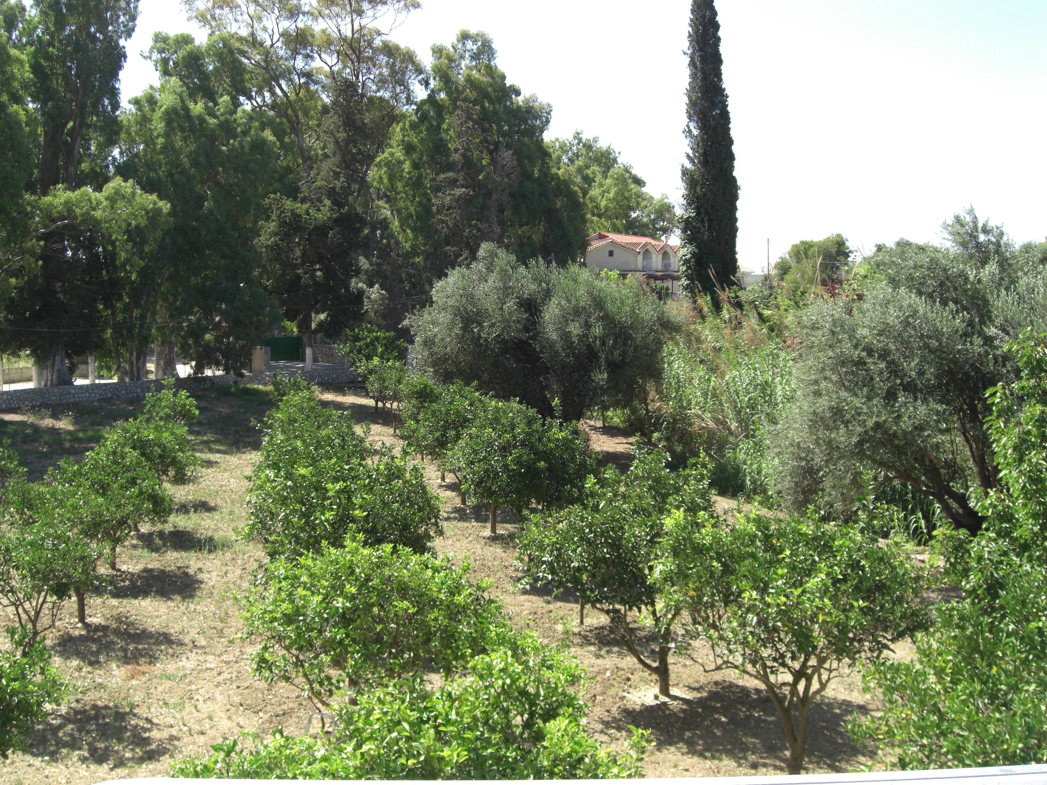 Irini Apartments-酒店景观