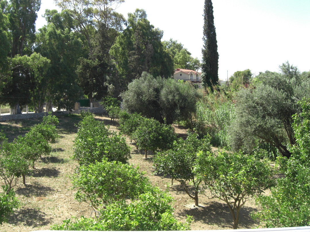 Irini Apartments主图