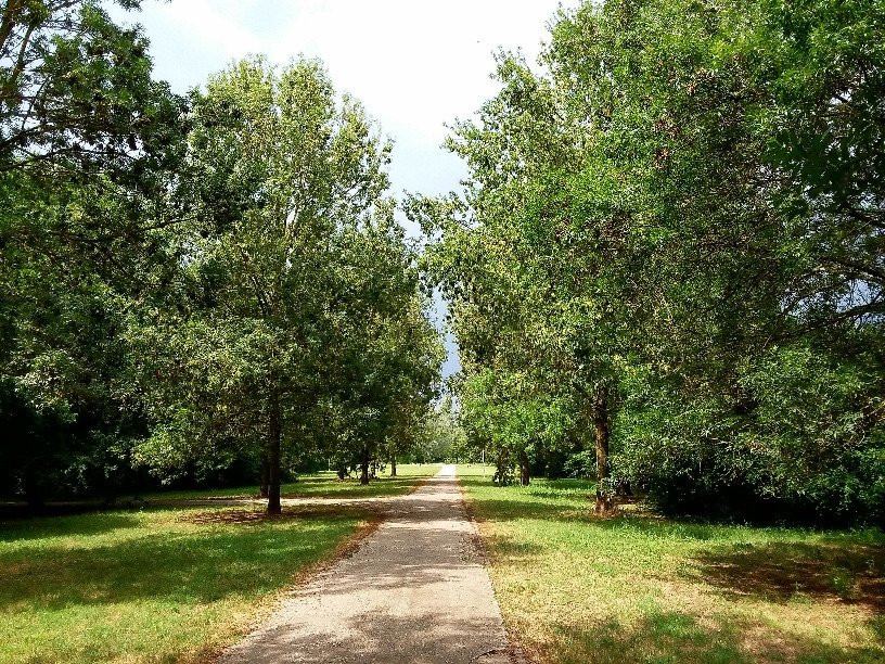 Parco Urbano G. Bassani景点图片