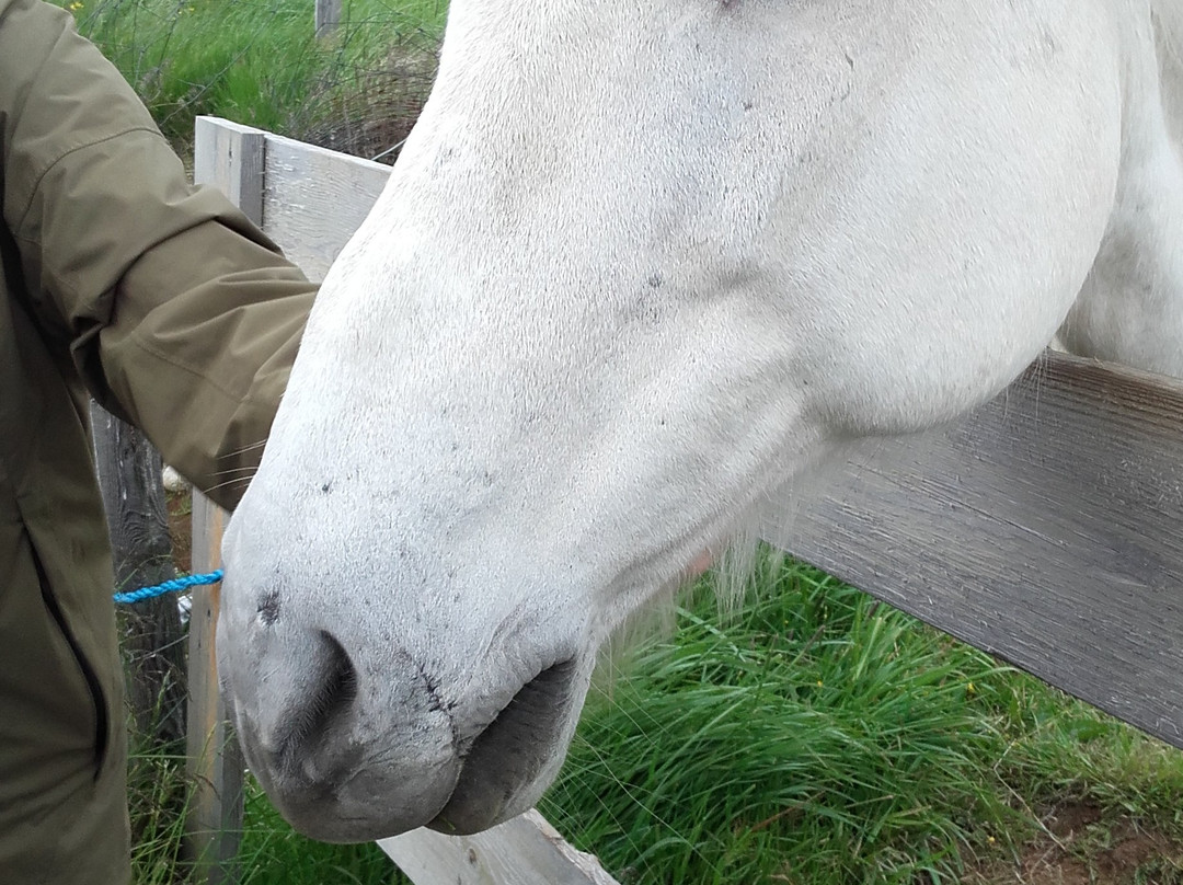 Guesthouse Brekka主图