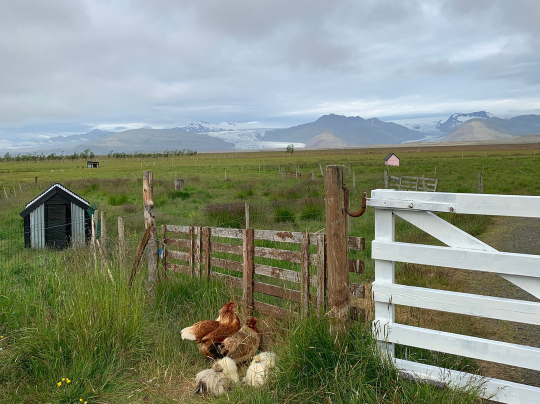 Hólmur Farm主图