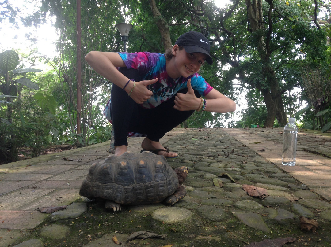 Jardin Botanico Eloy Valenzuela-Floridablanca必去景点