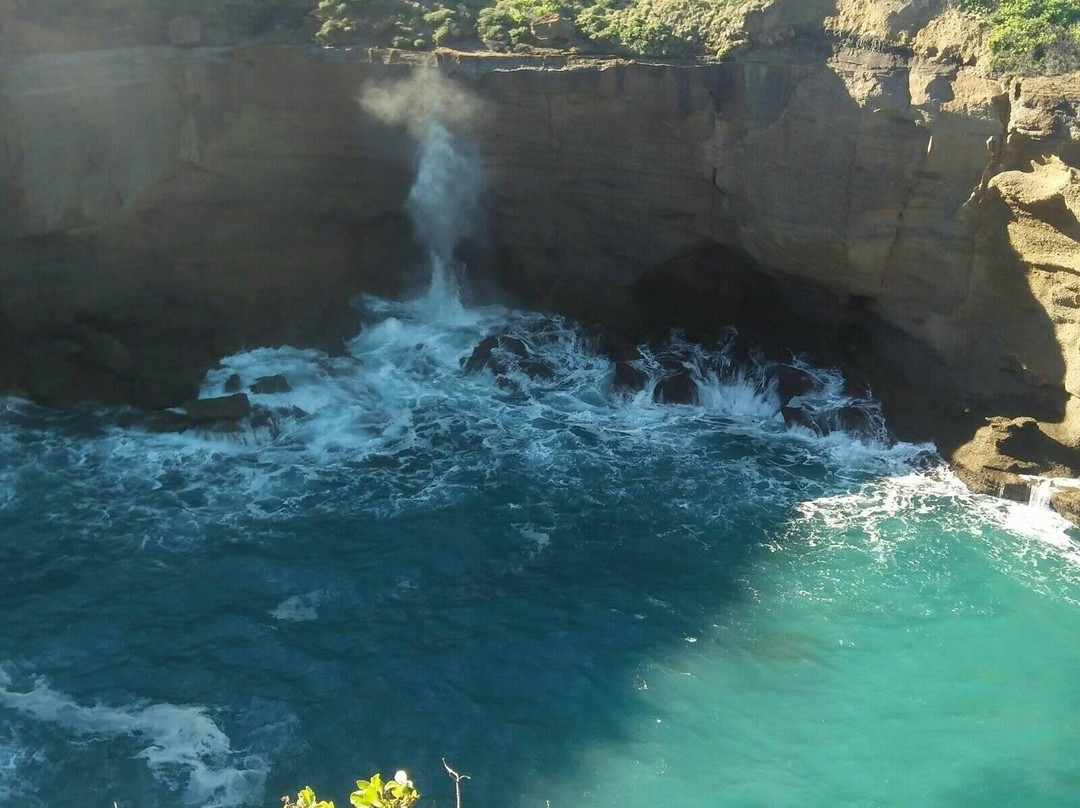 Munmorah State Conservation Area-Lake Munmorah必去景点