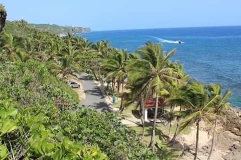 Ruinas de Puerto Hermina景点图片