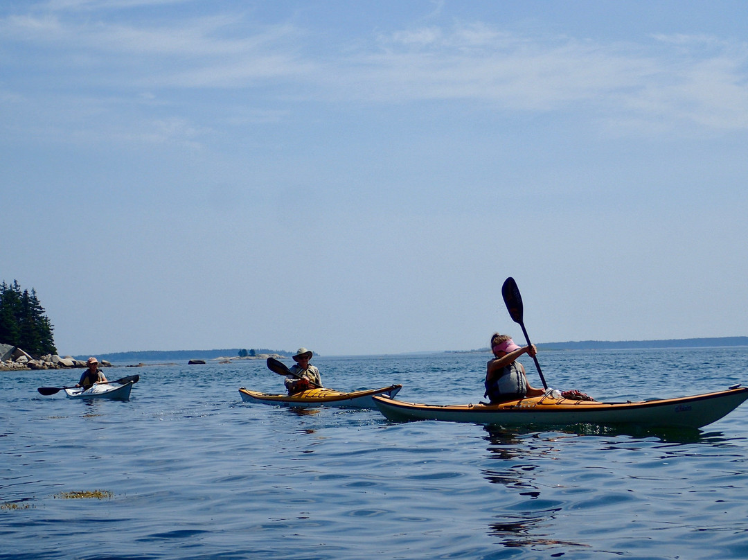 Driftwood Kayak景点图片