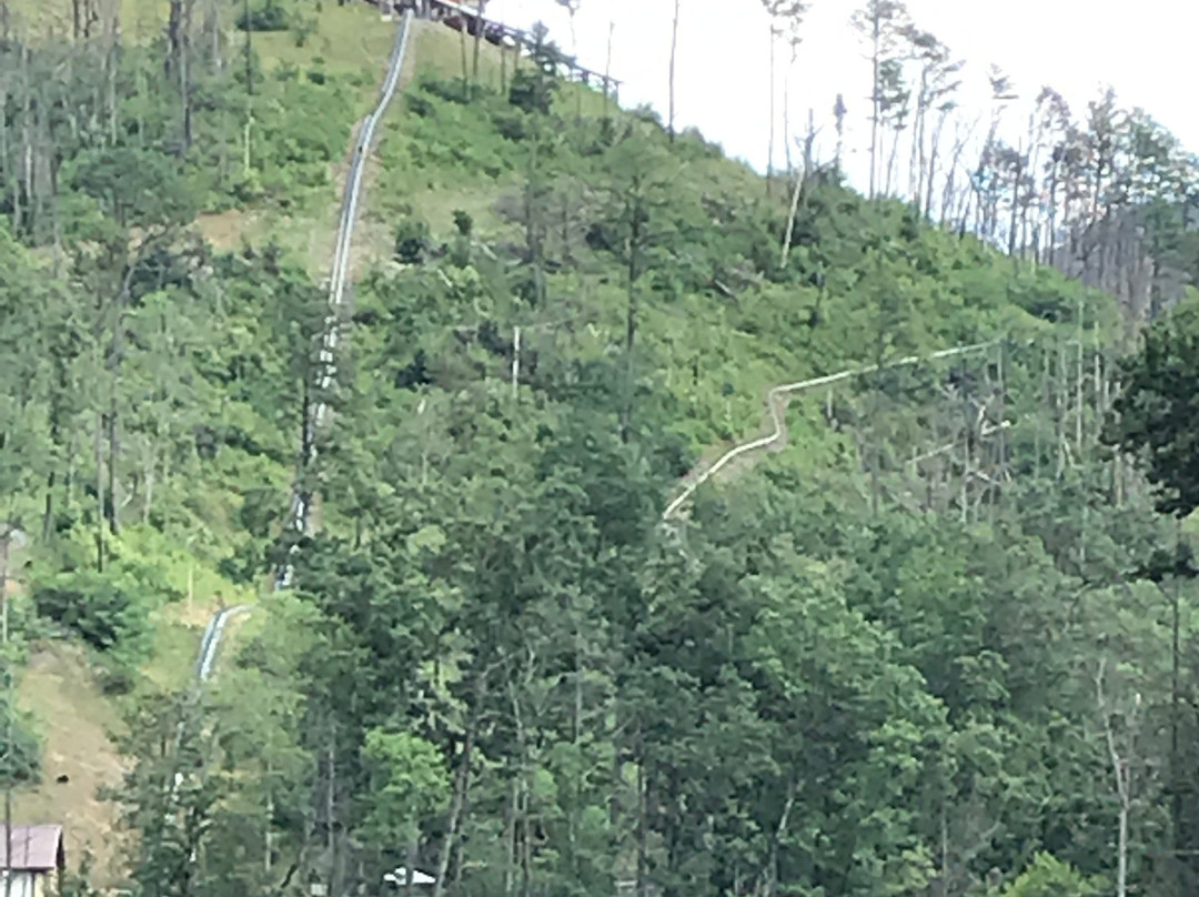 Rail Runner at Anakeesta-盖林柏格必去景点