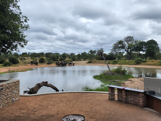 Simbavati Waterside主图