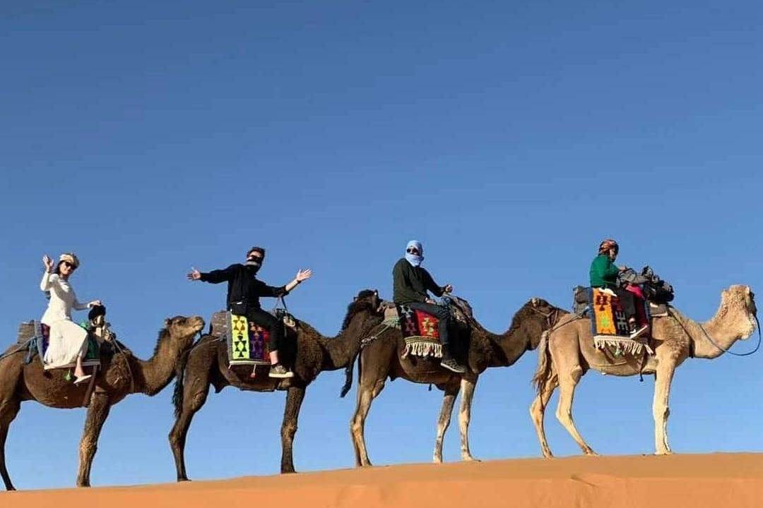 Morocco DailyXplore Tours景点图片