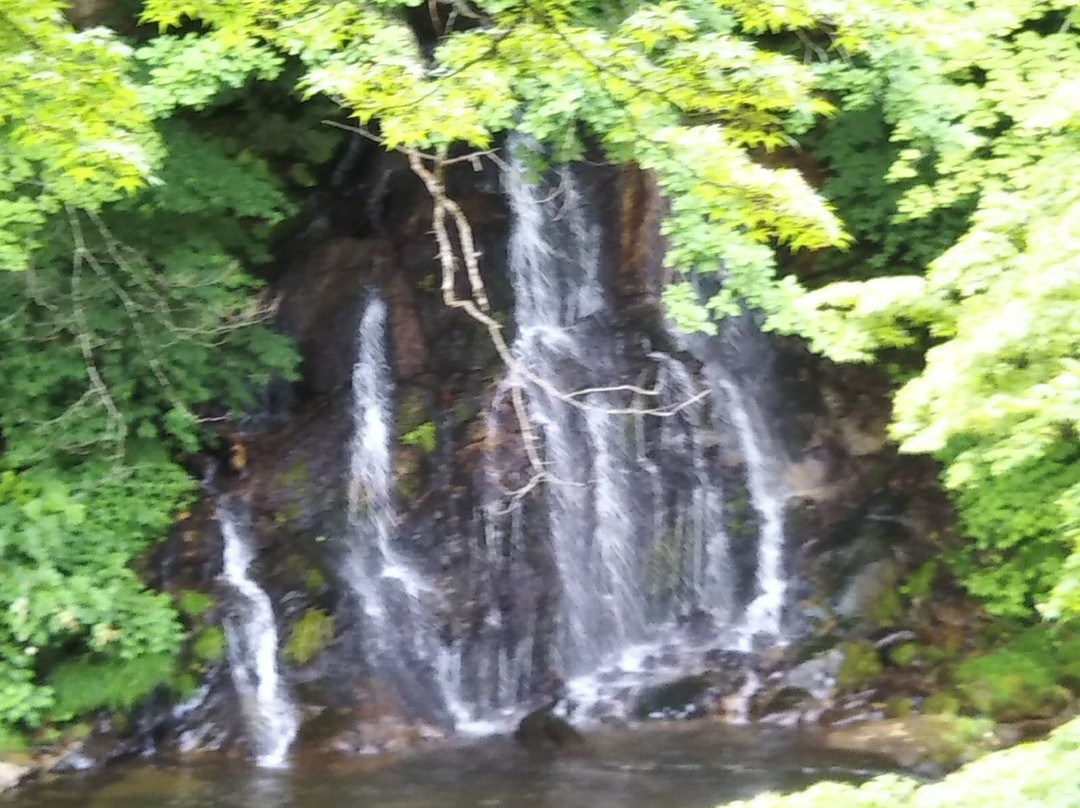 Nakano Momijiyama景点图片