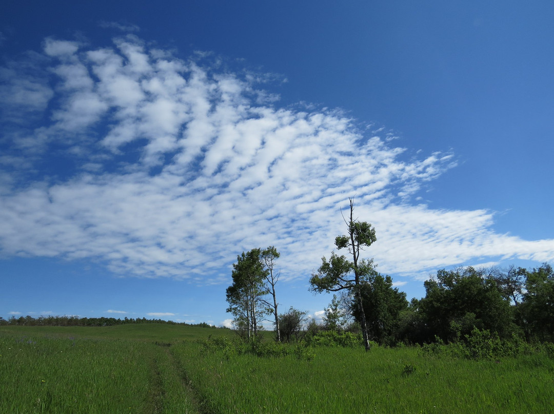 Ann and Sandy Cross Conservation Area景点图片