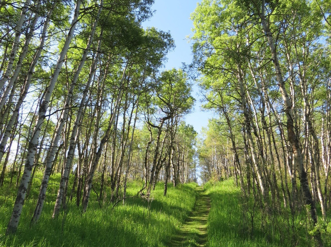 Ann and Sandy Cross Conservation Area景点图片