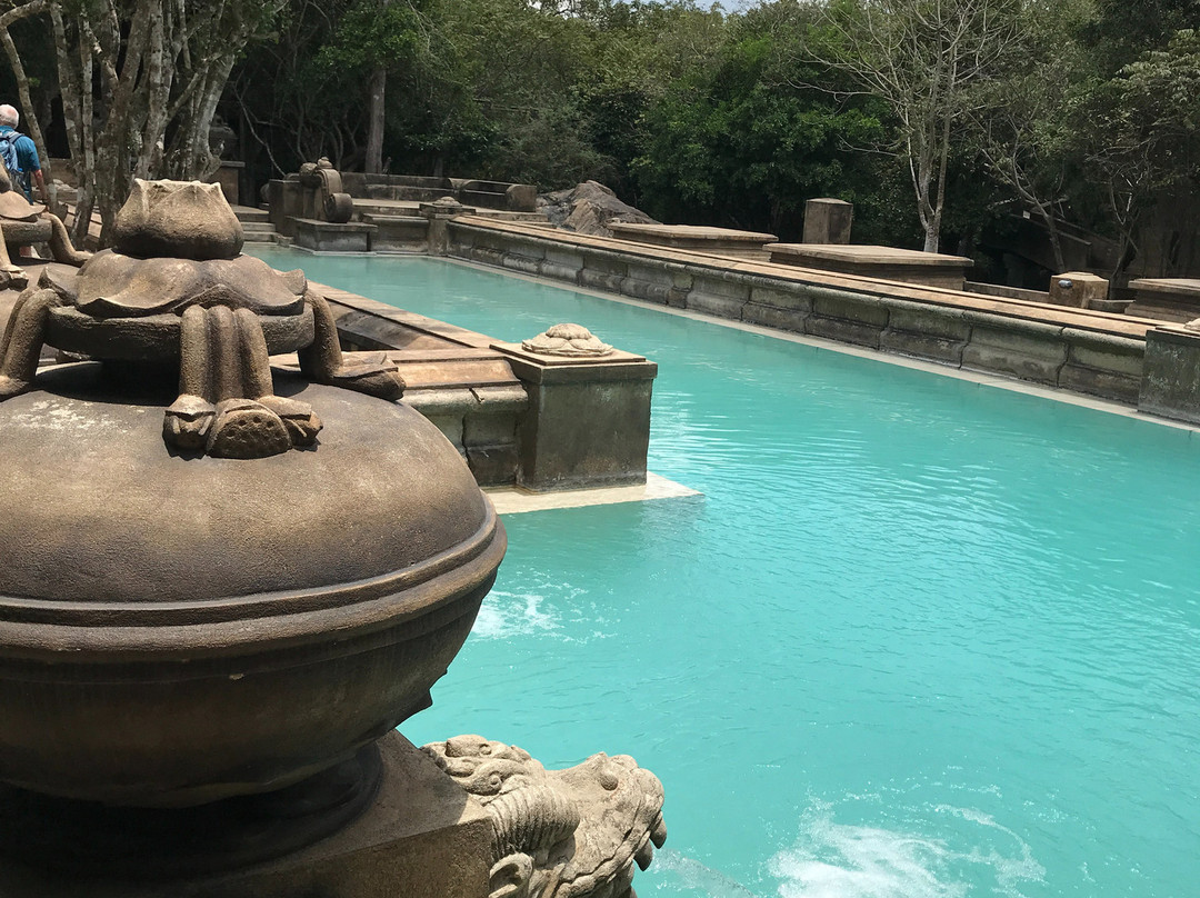 森林岩石花园度假村主图