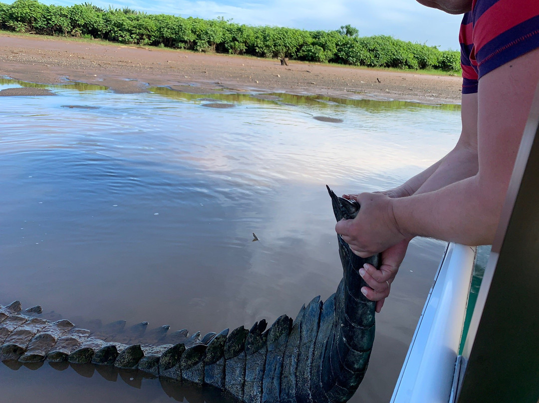 Jose's Crocodile River Tour景点图片