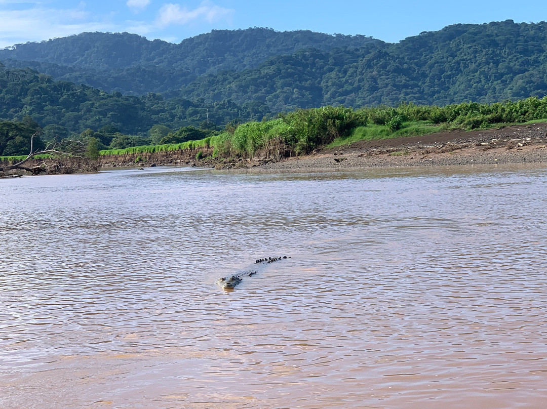 Jose's Crocodile River Tour景点图片