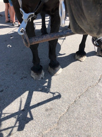 Absolute Prestige Limousine Wine Country Tours-Loma必去景点