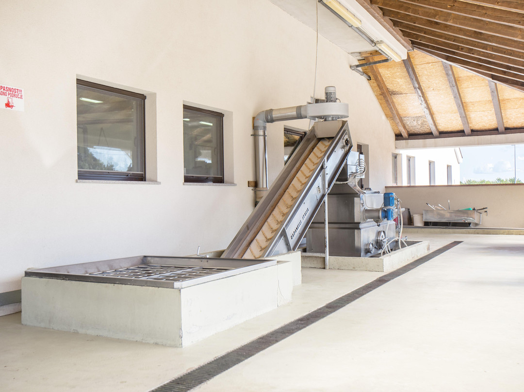 Sv. Ivan olive oil mill-佛迪赛必去景点