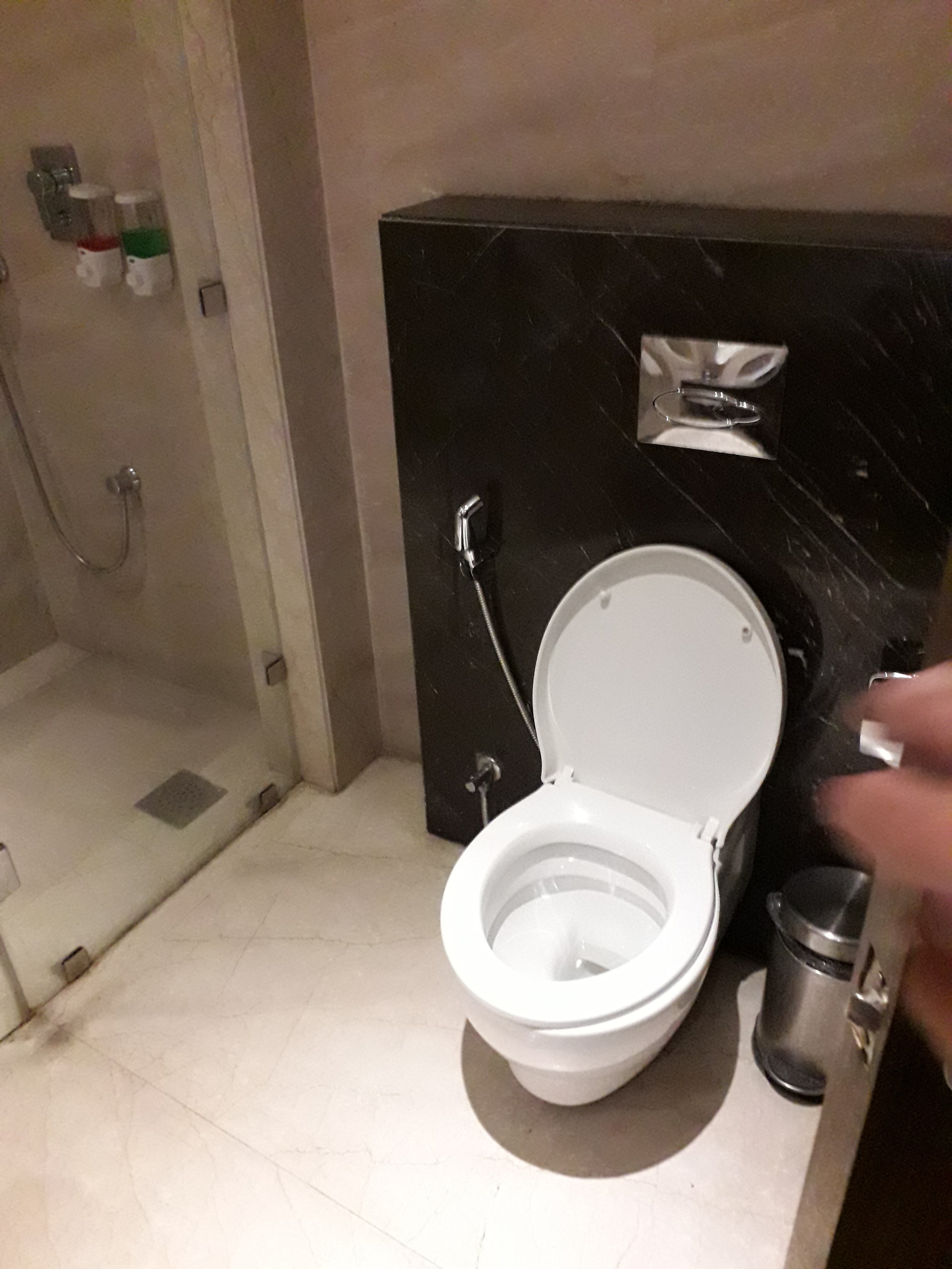 Sarovar Portico Jalandhar-浴室