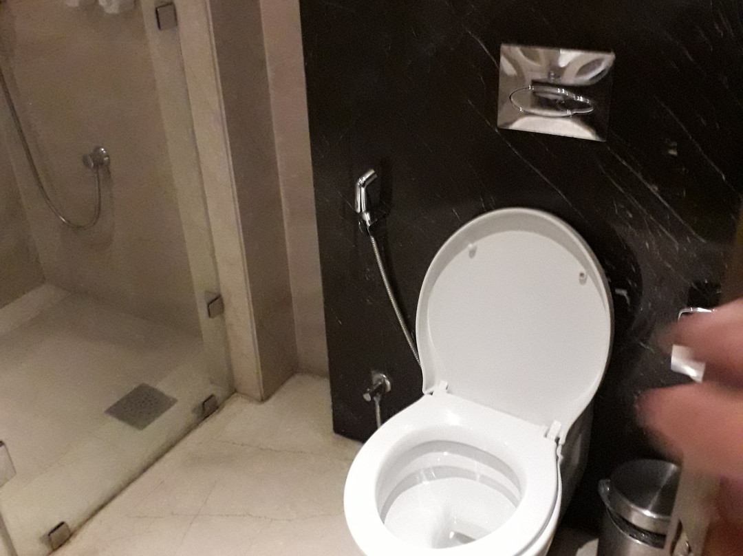 Sarovar Portico Jalandhar主图