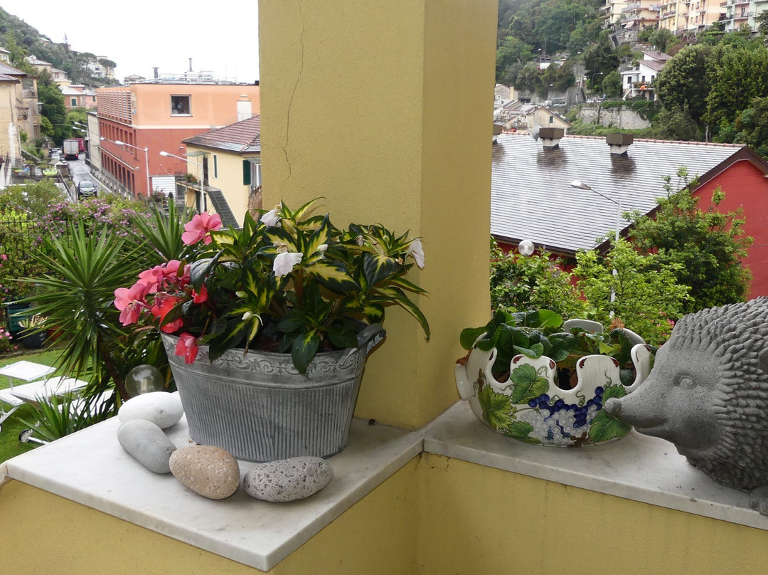 B&B Villa D'Albora主图