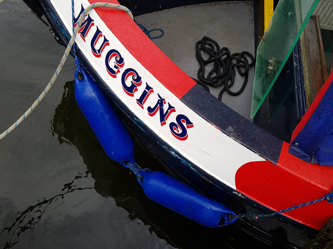 Chertsey Meads Marine Boatyard - Day Boats景点图片