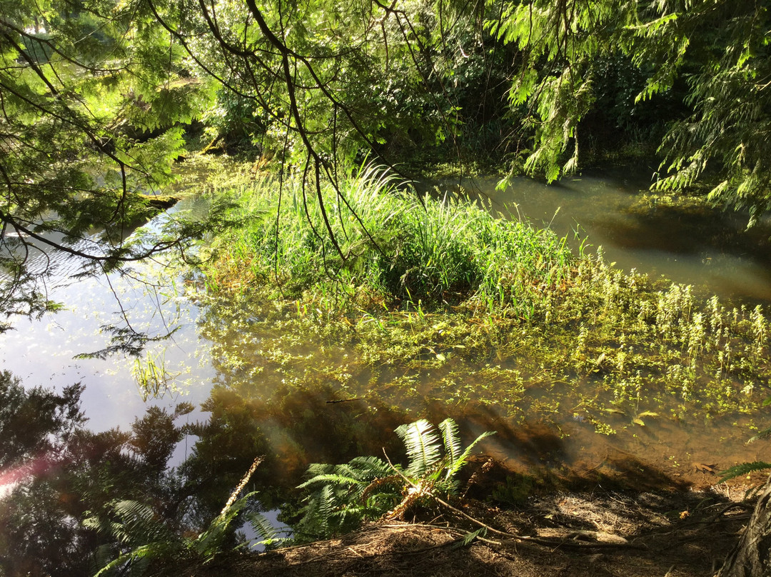 Miami Bridges Walk-哈里逊温泉必去景点